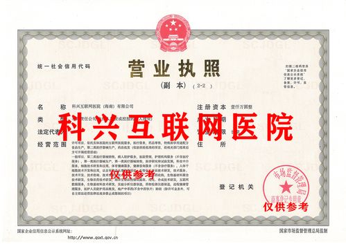 政策驅(qū)動(dòng)與技術(shù)賦能 海南互聯(lián)網(wǎng)醫(yī)院的廣闊前景